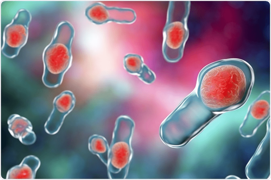 Bacterie periculoasă descoperită în Dunăre. Autoritățile sunt în alertă pentru contaminarea cu Clostridium Perfringens