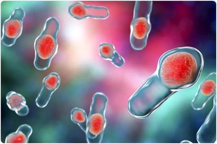 Bacterie periculoasă, numită Clostridium Perfringens, descoperită în Dunăre FOTO: Arhivă, Adevărul