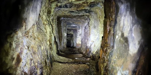 musariu foto daniel guta adevarul