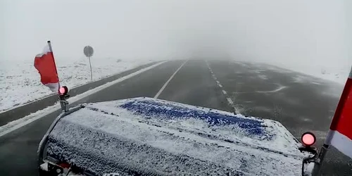 616142725163ec42712b03b7 jpg