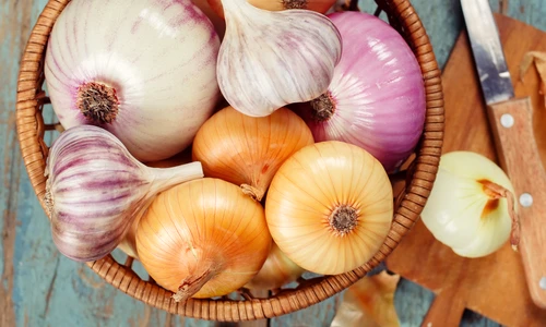 1 shutterstock 154393880 jpg jpeg