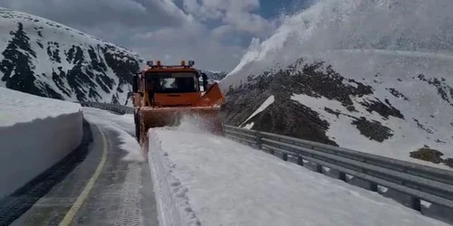 transalpina