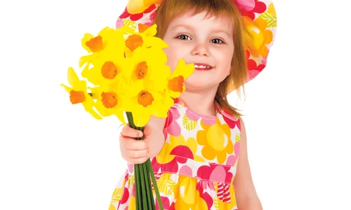 1 66922 original jpg jpeg