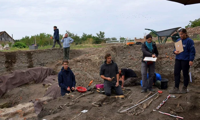 Săpături arheologice la mănăstirea cisterciană de la Igriș, unul dintre cele mai importante situri medievale din Banat | FOTO jpeg