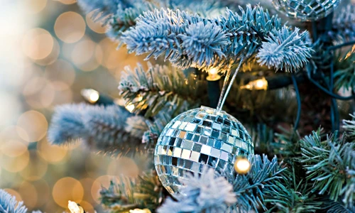 1 66681 original jpg jpeg