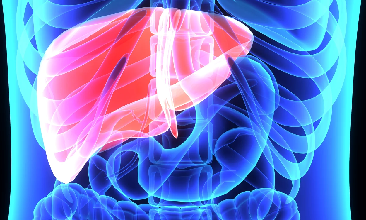 
    Hepatita E este extrem de rară în Europa  