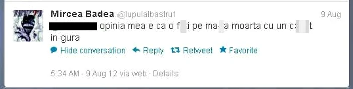 Mircea Badea, limbaj necenzurat pe Twitter