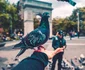 4 max bender cjgh6eb squ unsplash jpg jpeg