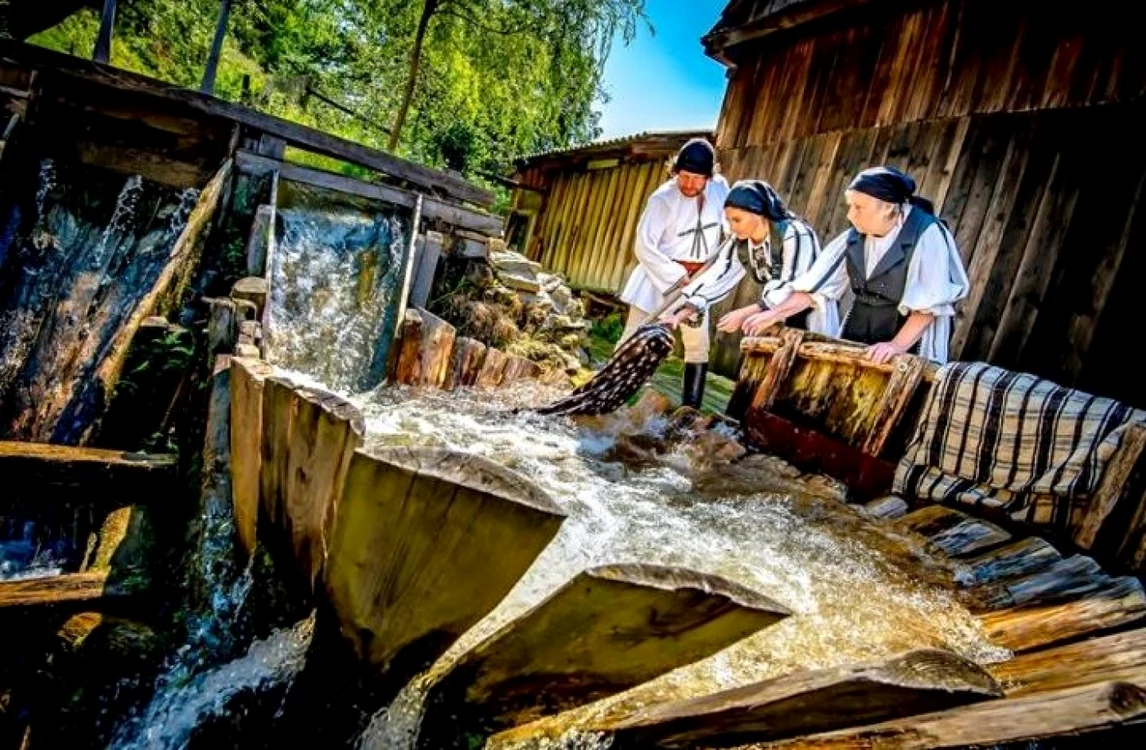 viltori alba valea sebesului