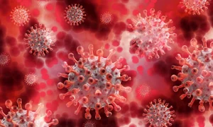 coronavirus celule jpeg