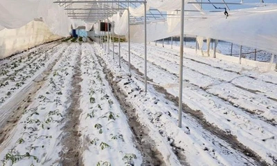 solarii distruse olt februarie 2019 - foto facebook florin ciobanu