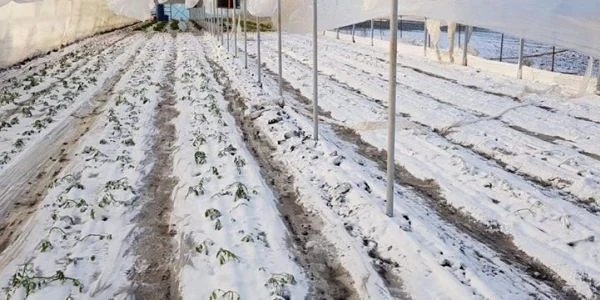 solarii distruse olt februarie 2019 - foto facebook florin ciobanu