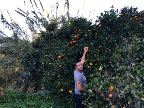 Daniel Buzdugan 10 jpeg