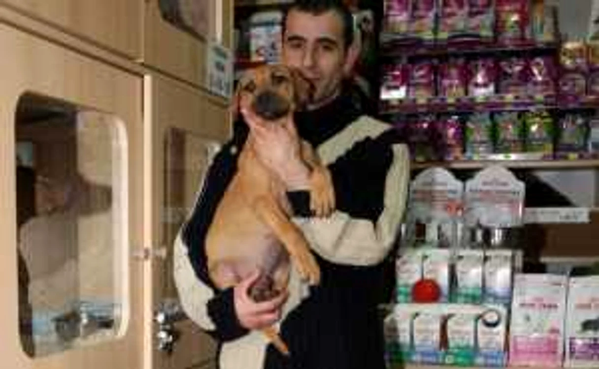 Andrei este frizer canin de aproape un deceniu