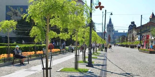 salcami japonezi