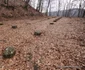 cetatea dacica de la costesti foto daniel guta adevarul