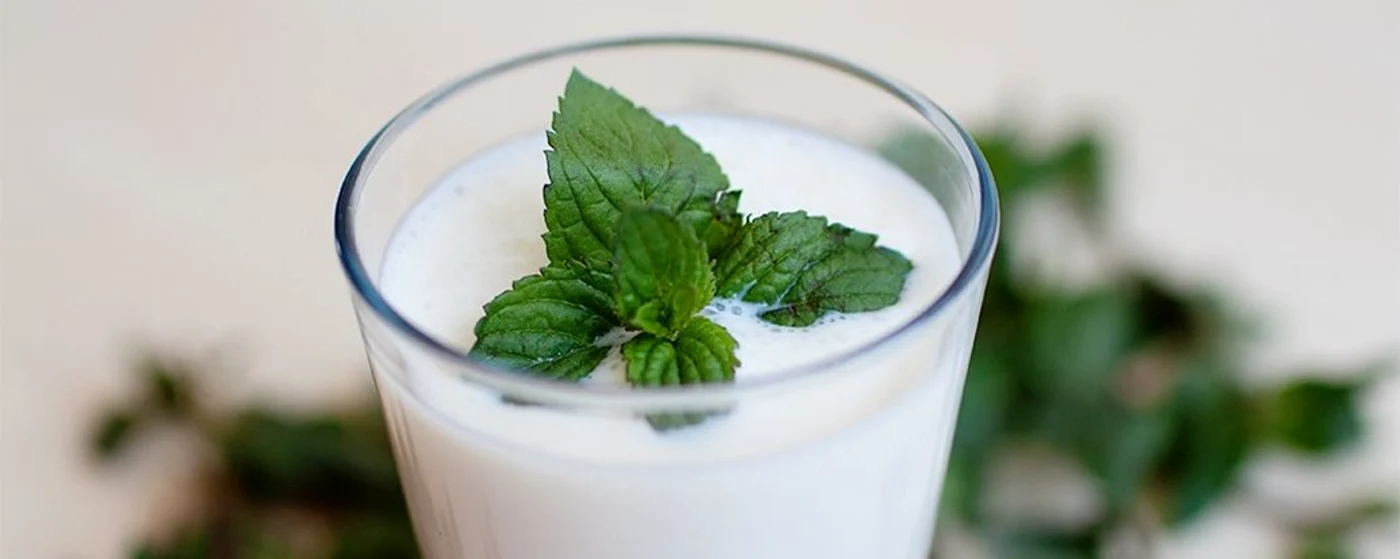 ayran vegan ass e1482309454645 jpg jpeg