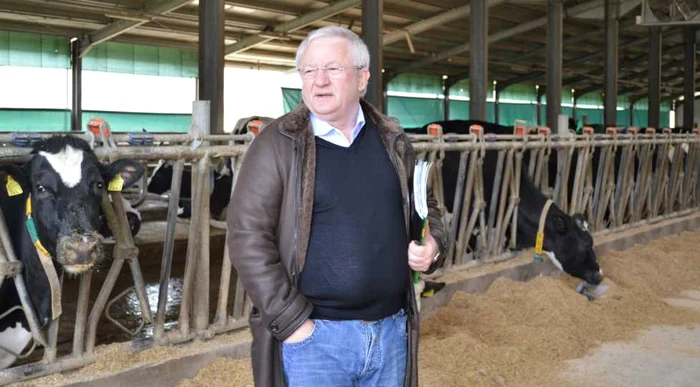 Adrian Porumboiu, la ferma lui de vaci  FOTO Mediafax