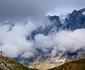 Alpi