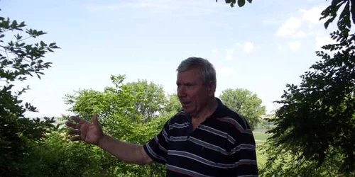 ilie munteanu medgidia