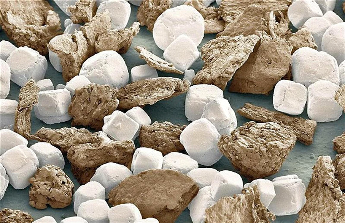 Aşa se văd obiectele uzuale la microscop (Foto: realitypod.com, vidacollection.org)