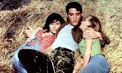 elvis11 jpeg
