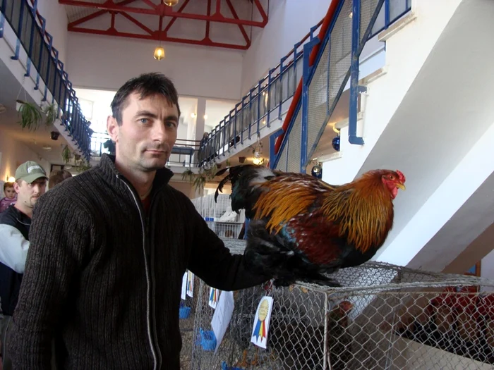 Adrian Hule este unul dintre crescătorii de găini din Bihor
