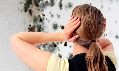 1 71107 original jpg jpeg