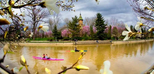 Timişoara a înflorit spectaculos FOTO Răzvan Vitionescu