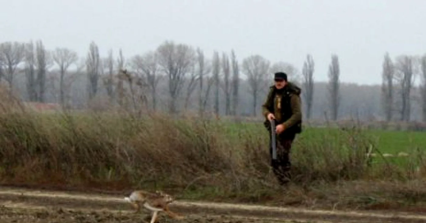 foto arhivă