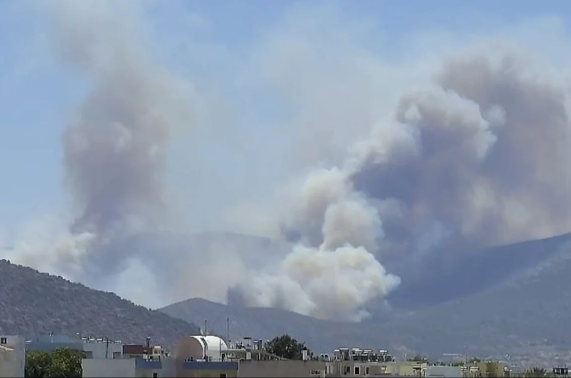 Incendiu vegetatie Grecia jpg