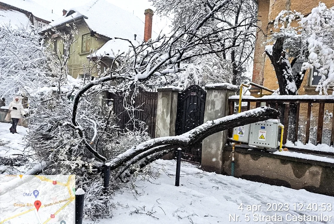 Strada Castanilor, 4 aprilie FOTO: Primăria Brașov