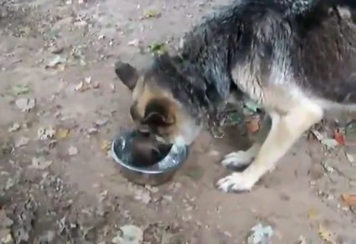 Captură video