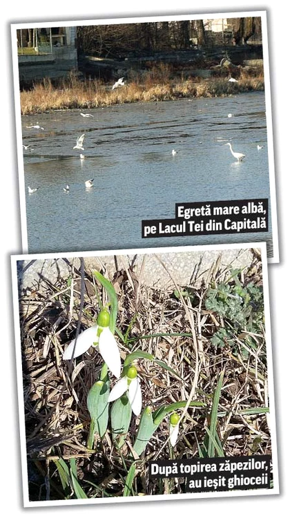 
    Vremea este perfectă  pentru plimbări în natură  