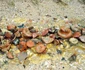 exploatarea rosia montana foto lucian muntean LM 30 JPG