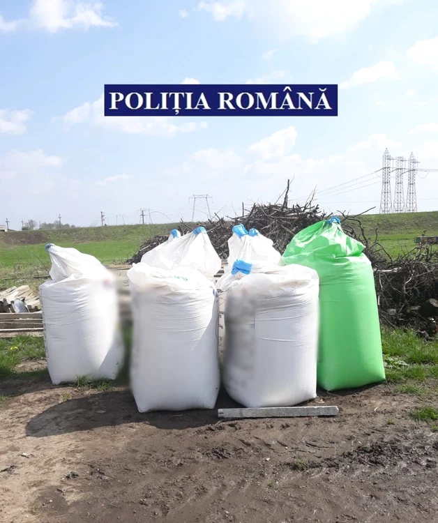 Substanţele chimice au fost confiscate de poliţişti FOTO IPJ Călăraşi