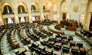 senat george calin inquamphotos