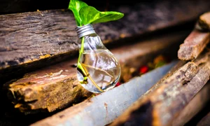 pexels horoscop 25 octombrie jpg