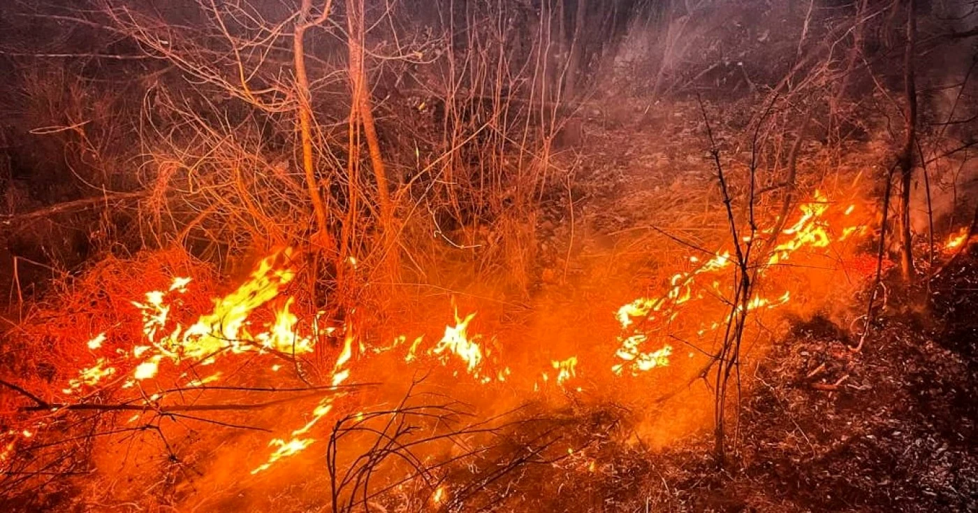 Foto ilustrativă: Arhivă