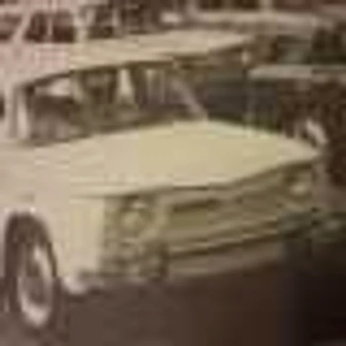 Dacia 1100