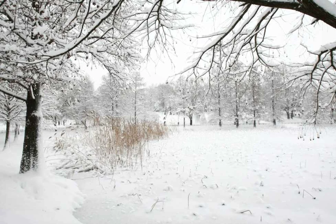 
    Vremea va continua să se încălzească uşor şi în Bucureşti, astfel că maxima termică se va situa în jurul valorii de 16 gradeFoto: adevarul.ro  