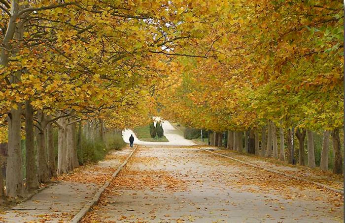 
    Prognoza meteo pentru următoarele două zile anunță că vremea se menține frumoasăfoto: Click!  