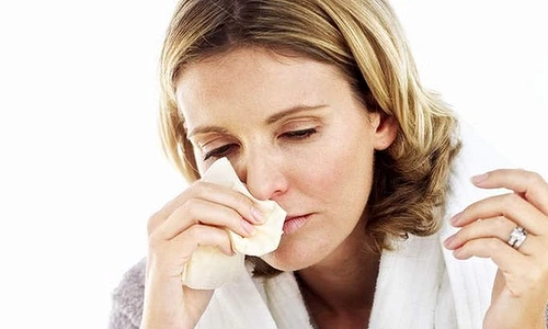 1 74029 original jpg jpeg