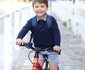 2 prince louis on bicycle png png