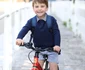 2 printul louis pe bicicleta png png