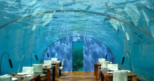 Turism Ithaa restaurantul de sub ape din Maldive Foto tripadvisorcom