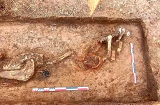 O înmormântare simbolică a unui cal, descoperită pe traseul viitoarei autostrăzi A8 (© Facebook / Vasile Diaconu - archaeologist)