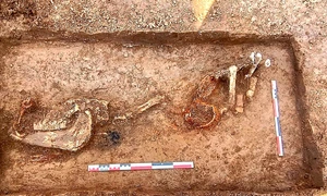 O înmormântare simbolică a unui cal, descoperită pe traseul viitoarei autostrăzi A8 (© Facebook / Vasile Diaconu - archaeologist)