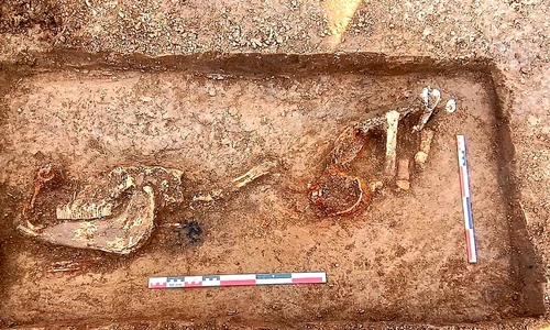 O înmormântare simbolică a unui cal, descoperită pe traseul viitoarei autostrăzi A8 (© Facebook / Vasile Diaconu - archaeologist)