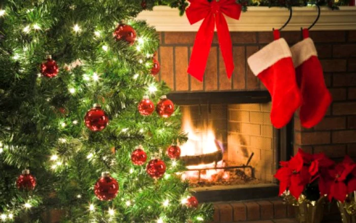 În fiecare an, designerii români decorează brazi de Crăciun în scop caritabilfoto: Adevărul